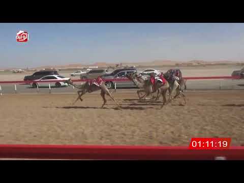    ش 25 (دخول جماعي)  2:13   , شارة الصندوق 2026/03/28 فطامين الروضة 