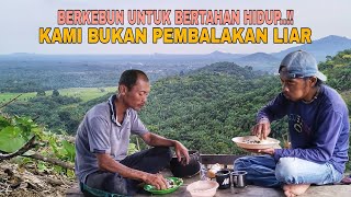 Download lagu BERKEBUN DEMI BERTAHAN HIDUP..!! BUKAN UNTUK PEMBALAKAN LIAR mp3 Download lagu BERKEBUN DEMI BERTAHAN HIDUP..!! BUKAN UNTUK PEMBALAKAN LIAR mp3