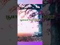 Paramal Partha ️ Vijaykanth Ilayarajasongs Tamilsonglyrics Kschithra Chitra Spb Ilayaraja