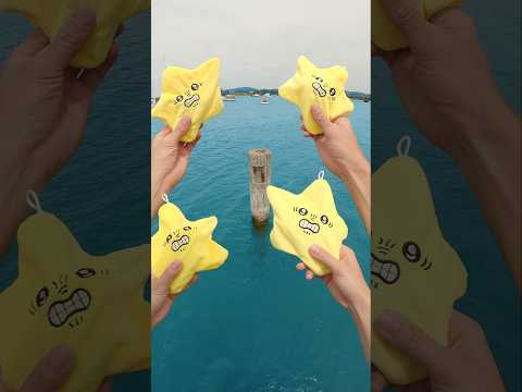 Give The Shark A Starfish ⭐️ Pt 4