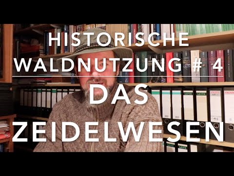 Zeidlerei - Historische Waldnutzung # 4