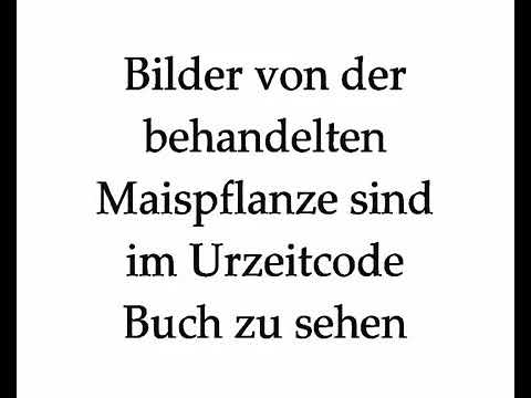 Der Urzeitcode - Ein Film von Guido Ebner 6.AZK