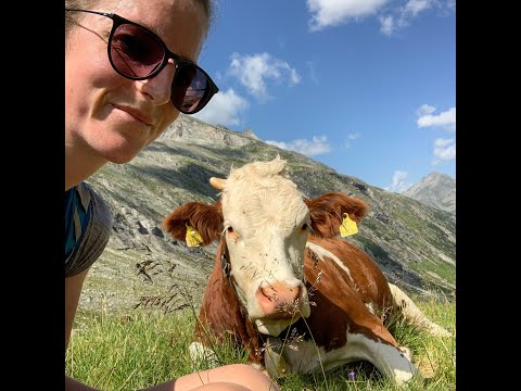 Wie Heuwirtschaft die Artenvielfalt fördert