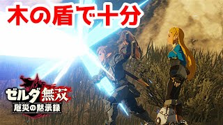 【実況】定年を迎えた父を再びハイラルの大地に放り込むPart3【ゼルダ無双 厄災の黙示録】