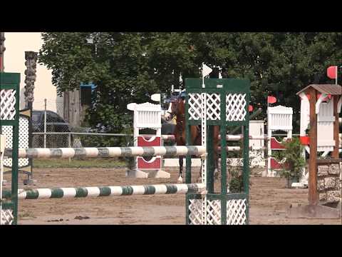 Malu (8) und Monte - A** in Schwegenheim am 27.08.2017