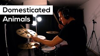 Domesticated Animals - Drum Cover - Queens Of The Stone Age
