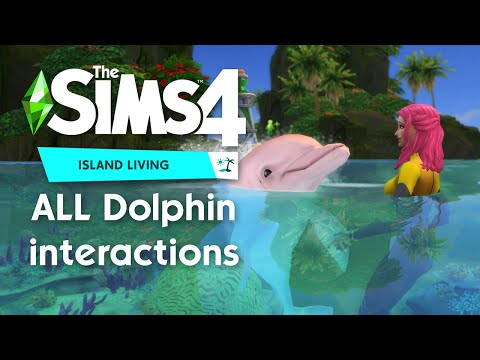 ALL Dolphin Interactions | The Sims 4 Island Living Video