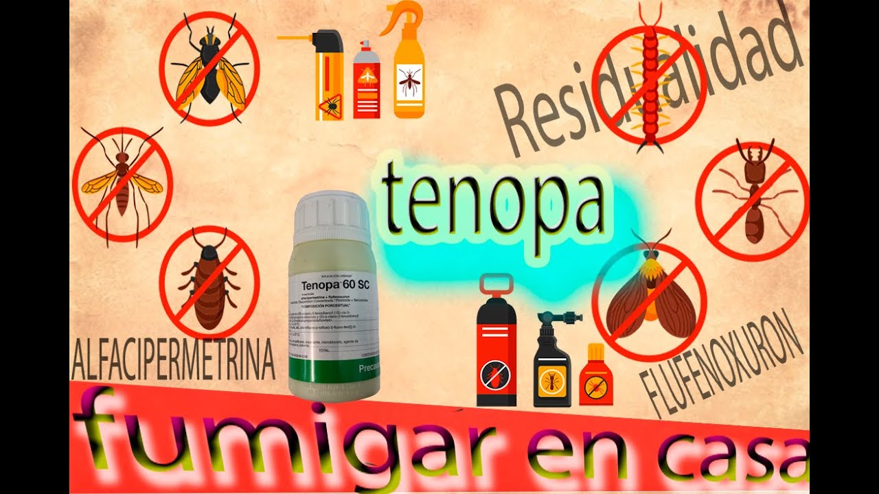 como fumigar y hacer un derribo de cucarachas con deltametrina