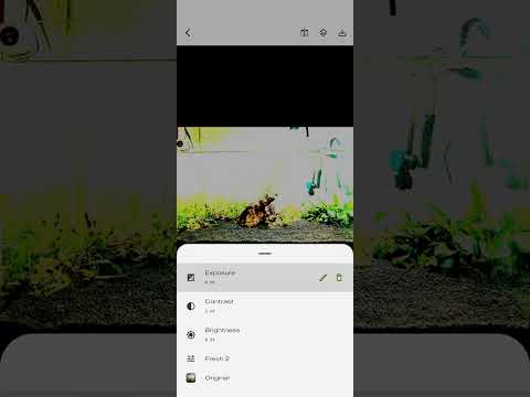 LAPhoto - Photo Editor video thumbnail