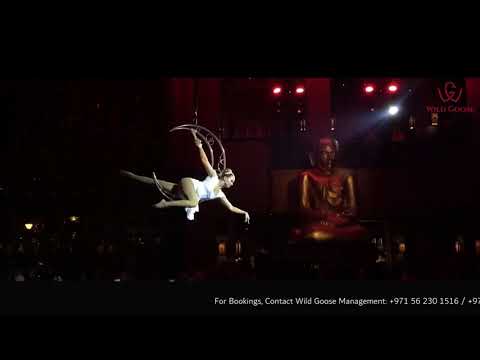 Aerial Moon Acrobact Show - Wild Goose Management