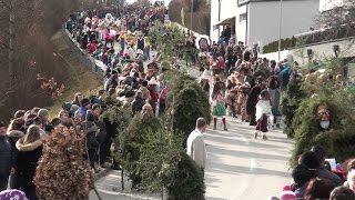 Bunte Impressionen vom Fritzner Umzug 2016