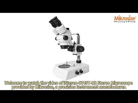 iStereo-0745T -B2 Stereo Microscope