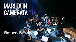 BOB MARLEY - Pimpers Paradise - Marley in Camerata