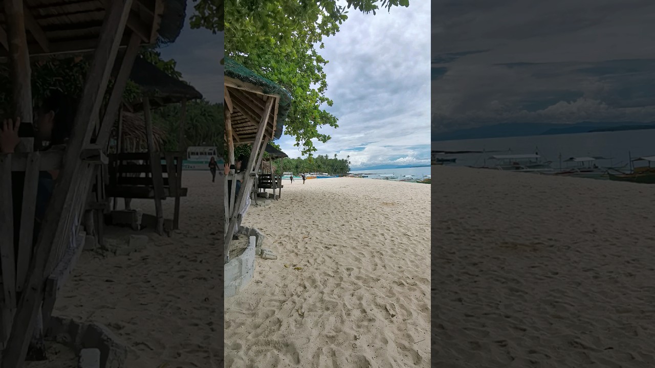 YouTube Short thumbnail