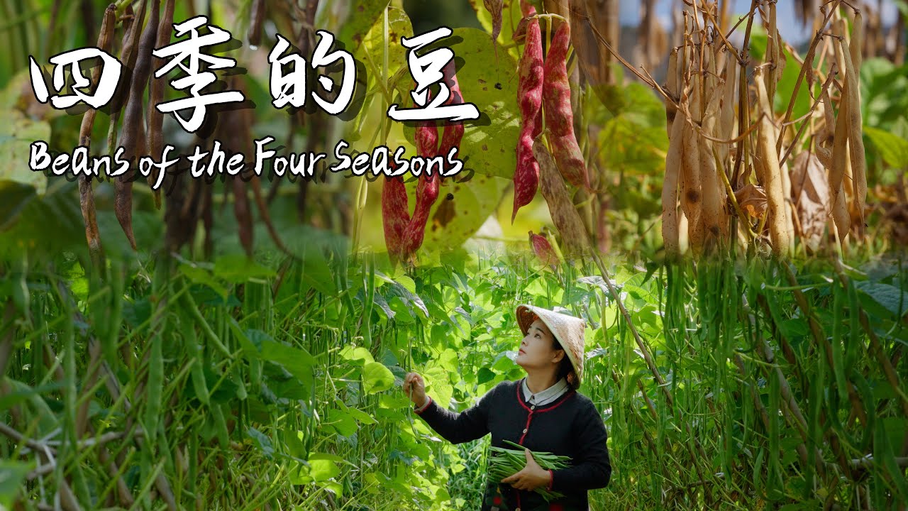 Fagioli freschi tutto l'anno: ecco tutti i piatti tipici cucinati nello Yunnan da Dianxi Xiaoge