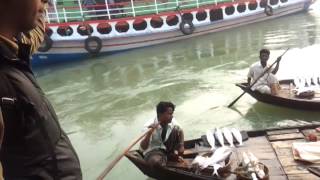preview picture of video 'Elish Fish at Chandpur'