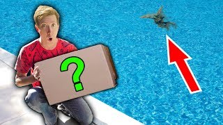 MONSTER IN POND vs NINJA WEAPONS EBAY MYSTERY BOX Challenge Unboxing Haul!