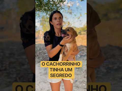 Ela seguiu seu instinto e descobriu o segredo do filhotinho