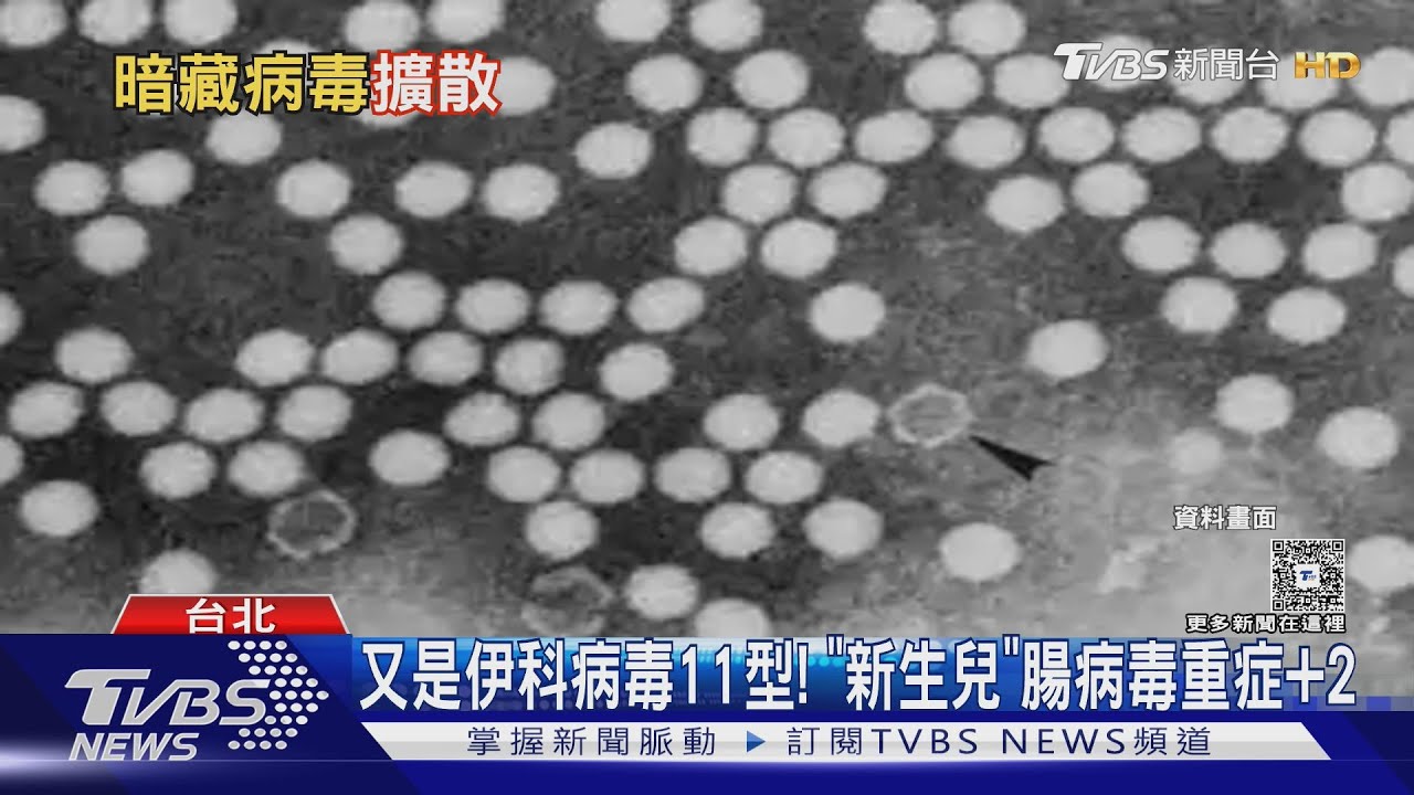 「伊科病毒11型」釀新生兒6死!腸病毒重症創近6年新高