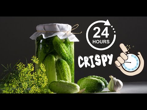 Crispy Quick Pickles in 24 Hours 🥒 | Easy & Flavor-Packed!