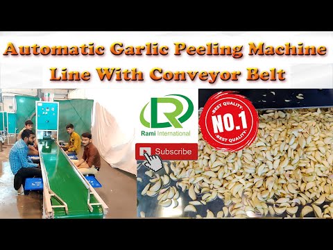 Garlic Peeling Machine