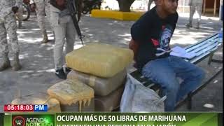 Ocupan más de 50 libras de marihuana y detienen una persona en Dajabón