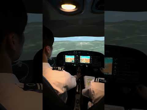 FTD（DA42）LANDING