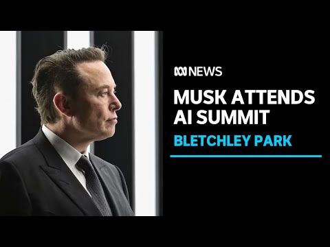 AI summit in London attracts Elon Musk, Kamala Harris and Rishi Sunak | ABC News