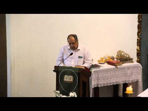 Paróquia Santo Antônio - Aldeia da Serra - Missa do 15º Domingo Comum