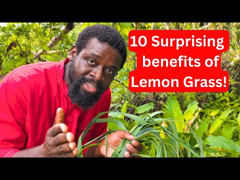 Before You Drink Lemongrass Tea Again, Know These 10 Surprising Benefits + 1 Bonus! 🌿