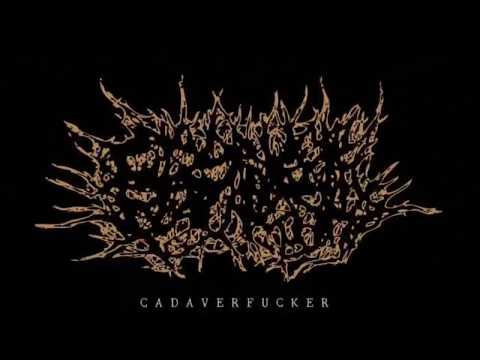 Cadaverfucker - Break Ass and Suck Shit(Footage)