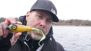 Abu garcia svartzonker mcmy tail