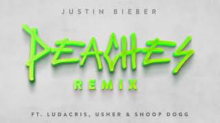 Musik-Video-Miniaturansicht zu Peaches (Remix) Songtext von Justin Bieber