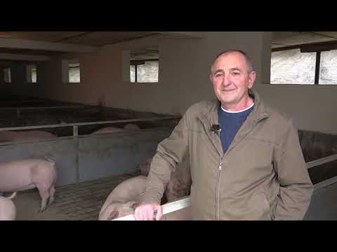 Naša priča ep.133 09.03.2018. - Dudovica - Svinjarstvo