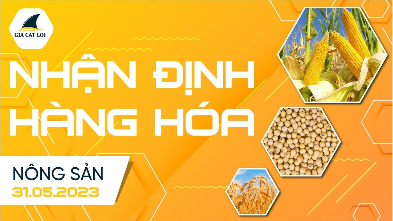 Nhận Định Hàng Hoá Nông Sản Ngày 31/05/2023