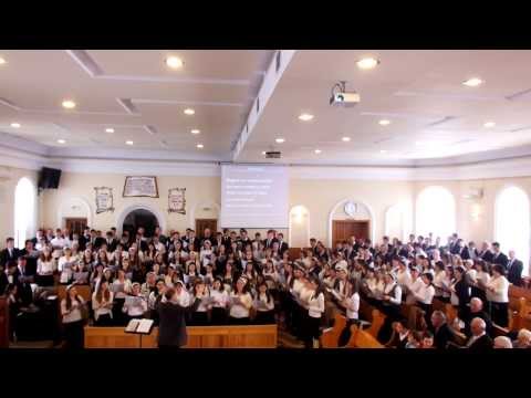 mii de comori  26.01.2014