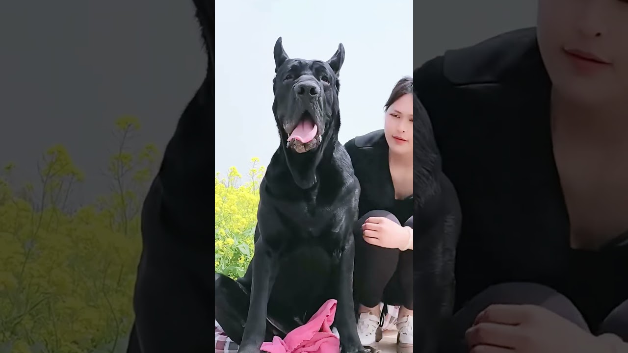 A wonderful partnership  Trust creates success@17