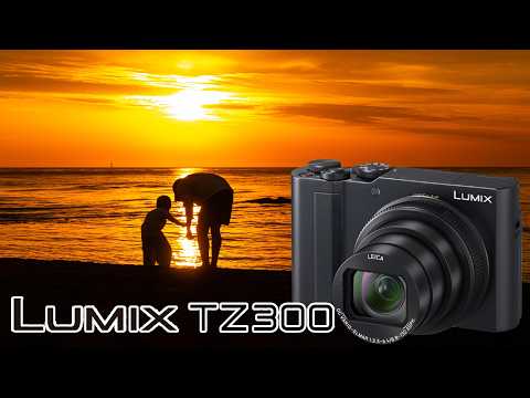 �ĳ��Ҵ� ��ͽ� DC-TZ300