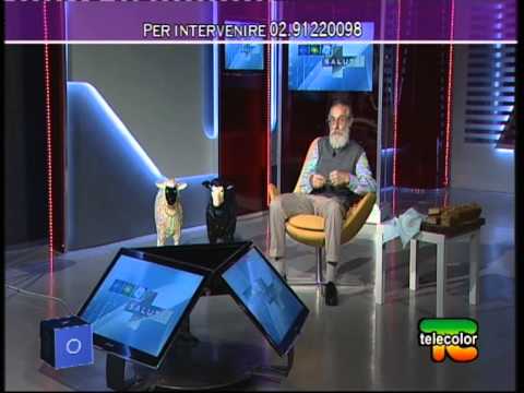 BOX MOZZI: LIVER - PART 2