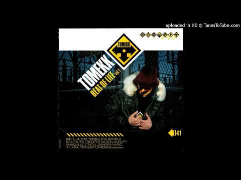 DJ Tomekk- 13 Nice Girls Ft Clumsy & Shegun
