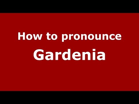 How to pronounce Gardenia