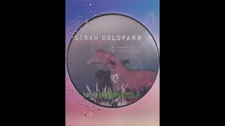 (Minimal 2007) Dumb Unit - Sarah Goldfarb ‎- Sportbilly EP - Sport Billy