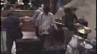 bear vs shark-michigan