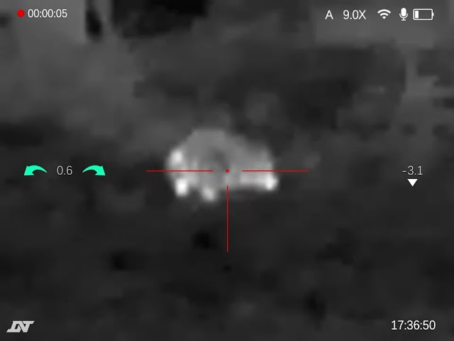 Judge.me YouTube video placeholder