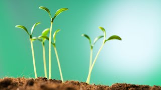 הרוח של רבינו | אבני דרך יסודות ועיונים בדרכו ותורתו של רבי נחמן מברסלב זיע"א (הרב ברוך זרובבל) - התמונה מוצגת ישירות מתוך אתר האינטרנט יוטיוב. זכויות היוצרים בתמונה שייכות ליוצרה. קישור קרדיט למקור התוכן נמצא בתוך דף הסרטון