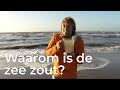 Waarom is de zee zout? | Vragen van kinderen | Het Klokhuis