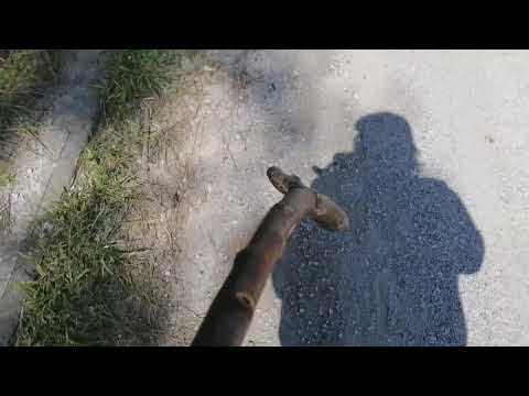 lockdown Greece 53 days walking NO COMMENT