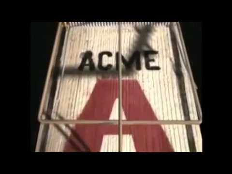 Nicht reduzierbare Komplexität