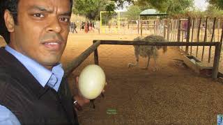 Tour to South Africa │Travel Diary 2016 │ Memorable Journey │Explore │Scenic
