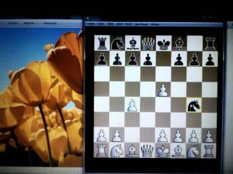 Naucite KIENINGER -ov sahovski trik u BUDIMPEŠTANSKOM gambitu  #79 sah i mat